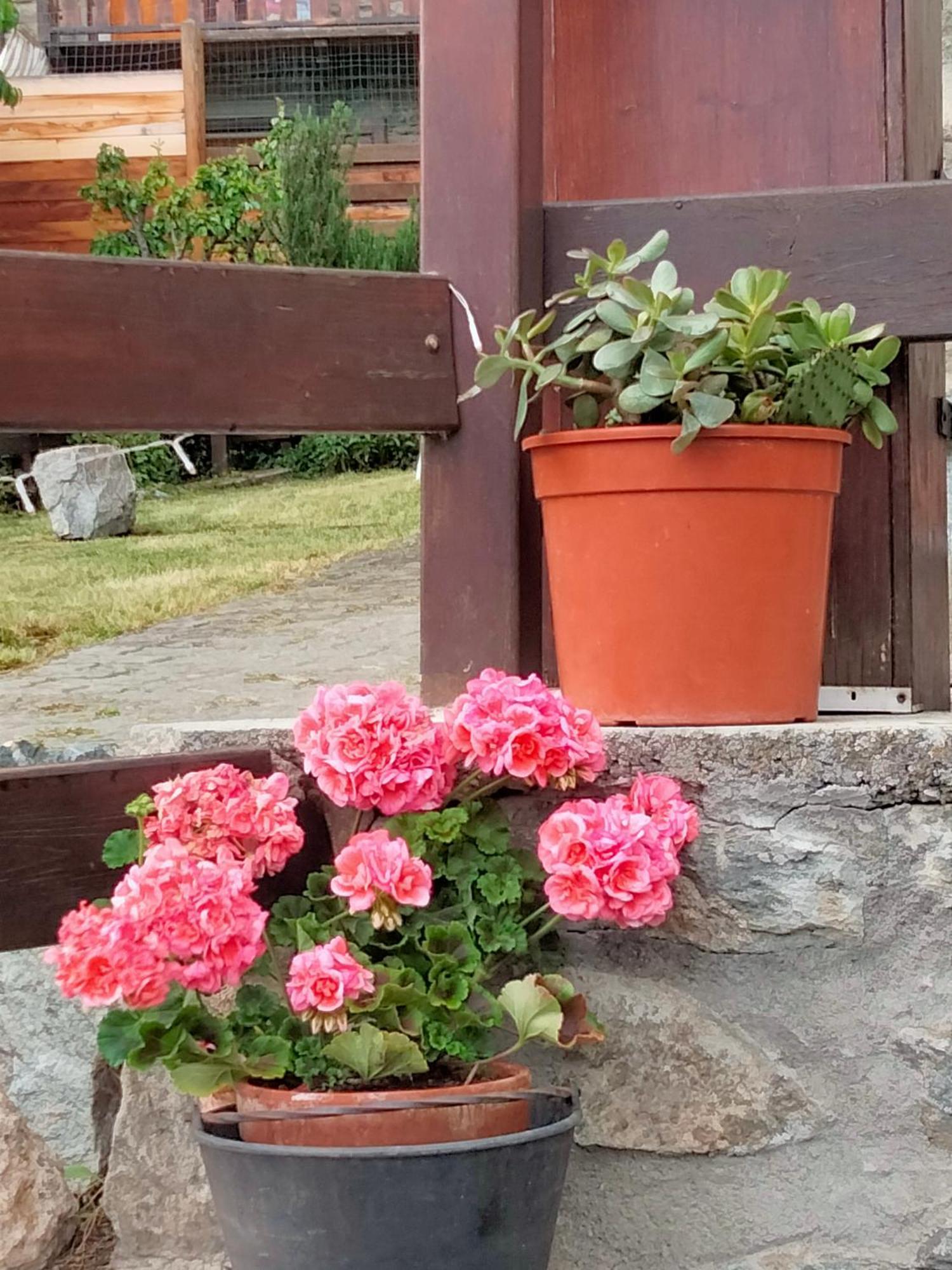 Grand Rive Bed & Breakfast Saint-Pierre Bagian luar foto