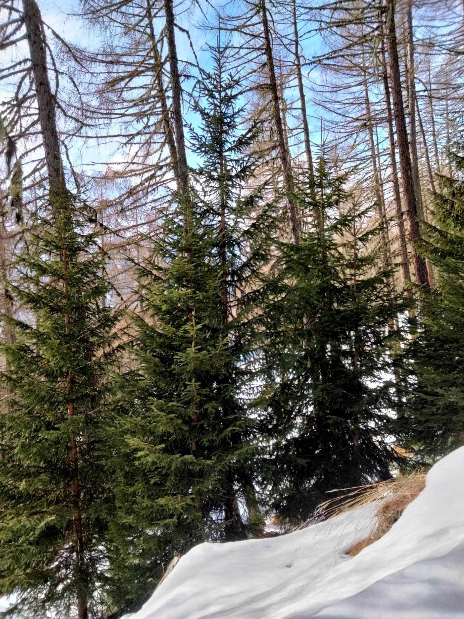 Grand Rive Bed & Breakfast Saint-Pierre Bagian luar foto