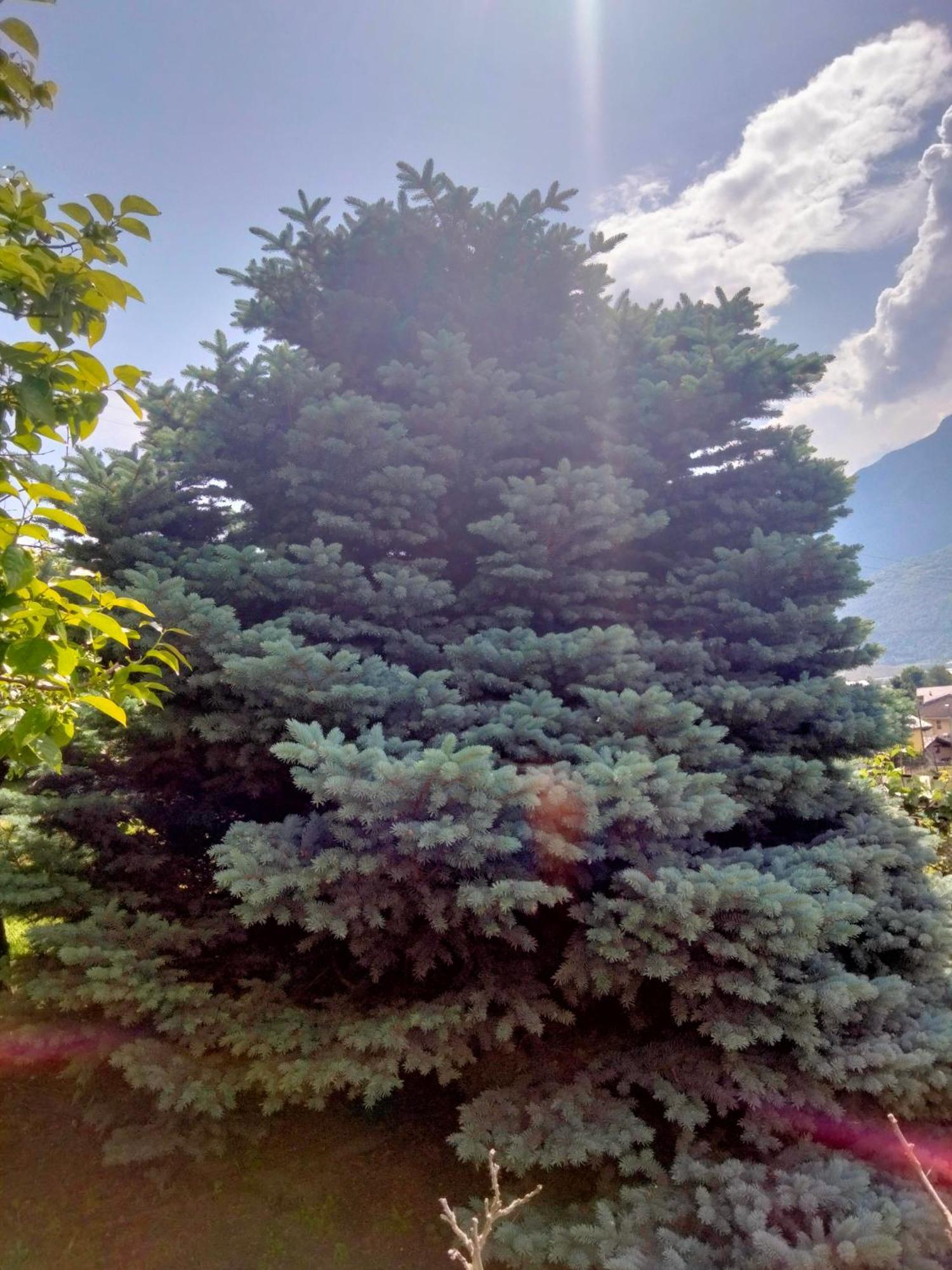 Grand Rive Bed & Breakfast Saint-Pierre Bagian luar foto